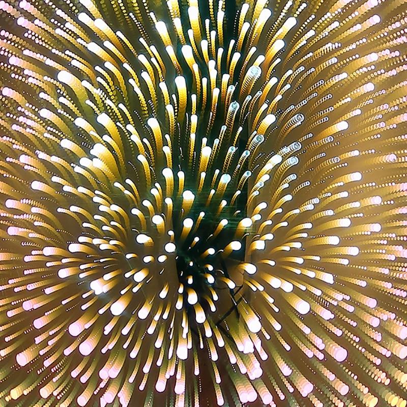 Modern Nordic Hanging Lamp